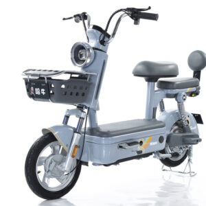 Electric Bicycles – FYING