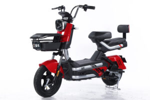 Electric TBicycles – LKU