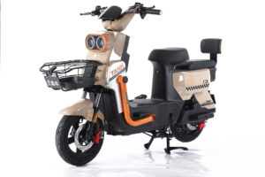 Electric Bicycles – TKDS