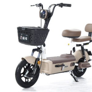 Electric Bicycles – NNIU