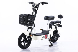 Electric Bicycles-XAMENG